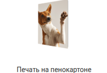 Поляроид